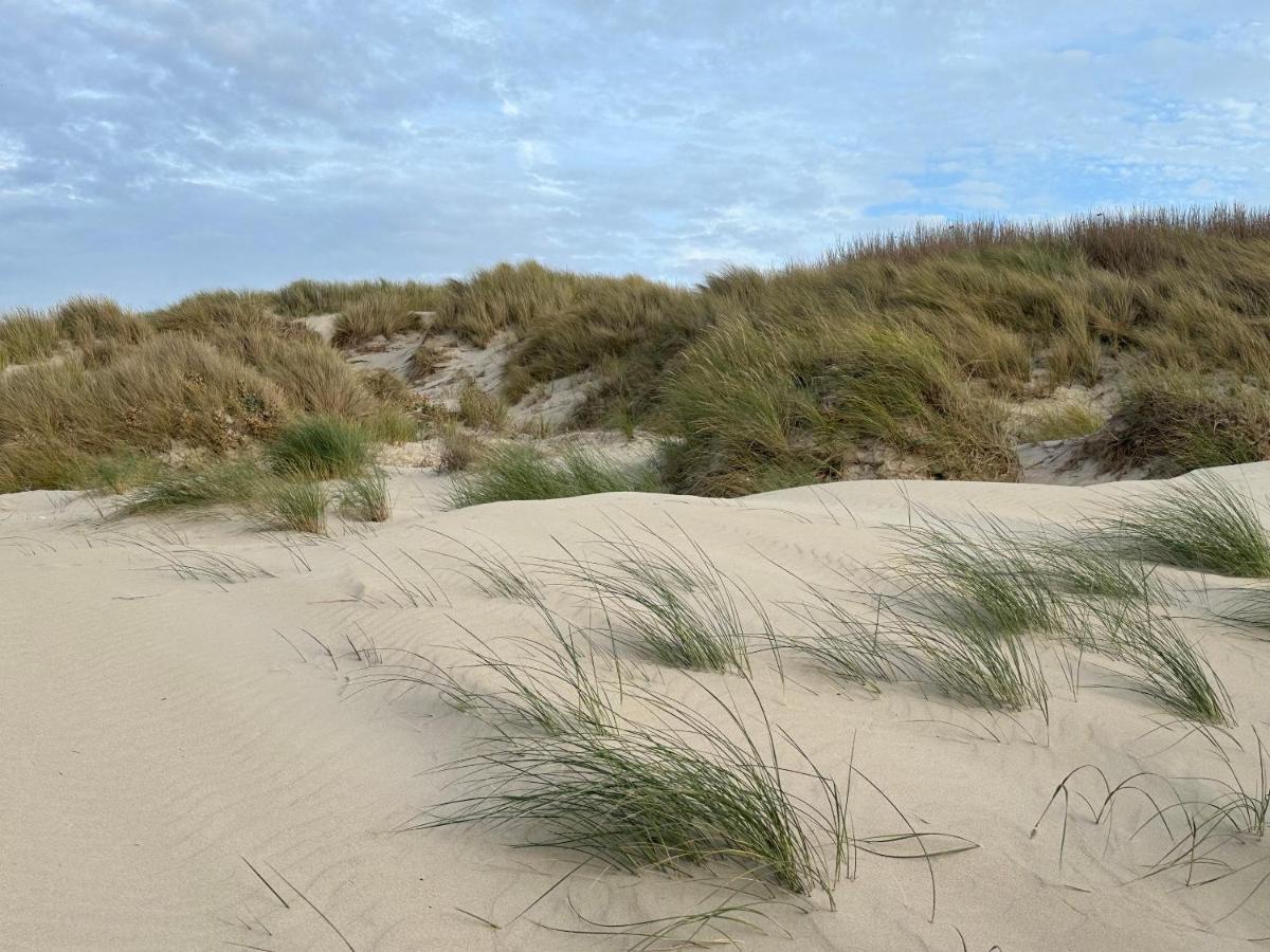 Appartement Plage Merlimont 10 Mn Berck Le Touquet Avec Jardin Buitenkant foto